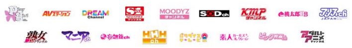 fanza-japans-no-1-adult-site-has-too-much-content-02-04